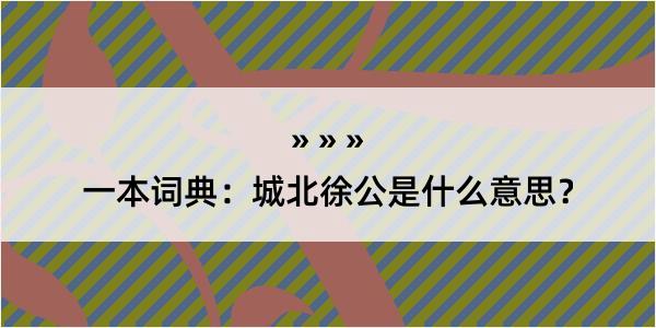 一本词典：城北徐公是什么意思？