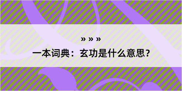 一本词典：玄功是什么意思？