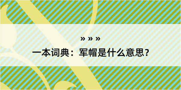 一本词典：军帽是什么意思？