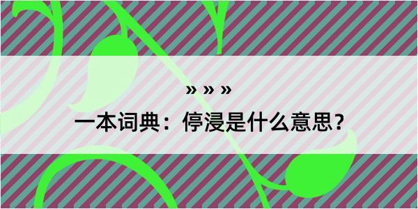 一本词典：停浸是什么意思？