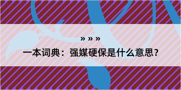 一本词典：强媒硬保是什么意思？