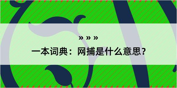 一本词典：网捕是什么意思？