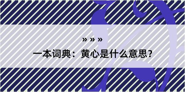 一本词典：黄心是什么意思？