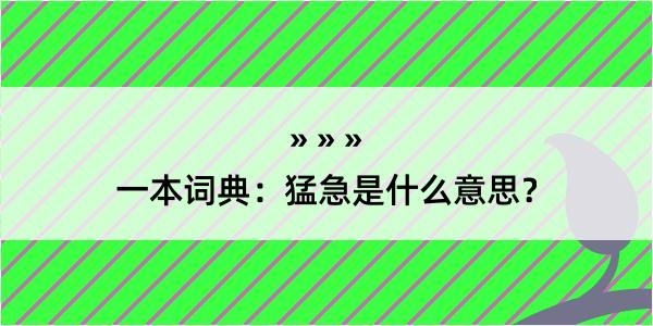 一本词典：猛急是什么意思？