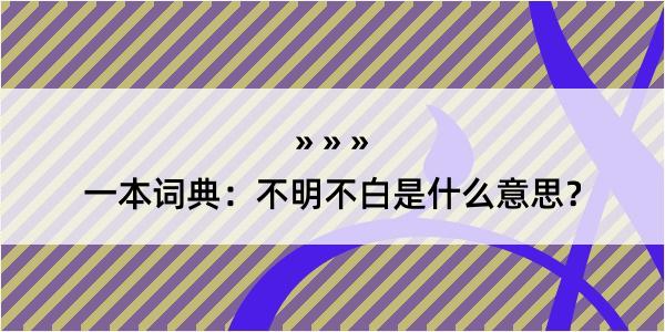 一本词典：不明不白是什么意思？