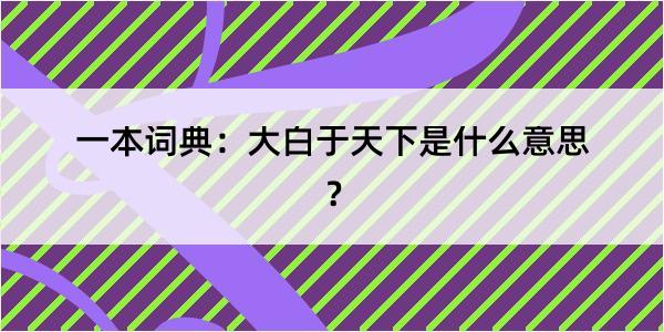 一本词典：大白于天下是什么意思？