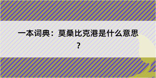 一本词典：莫桑比克港是什么意思？