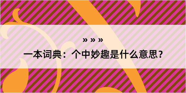 一本词典：个中妙趣是什么意思？