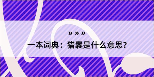 一本词典：猎囊是什么意思？