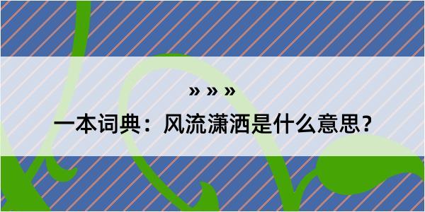 一本词典：风流潇洒是什么意思？