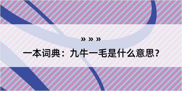 一本词典：九牛一毛是什么意思？