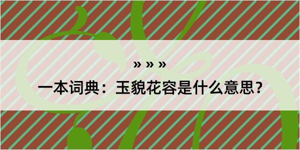 一本词典：玉貌花容是什么意思？