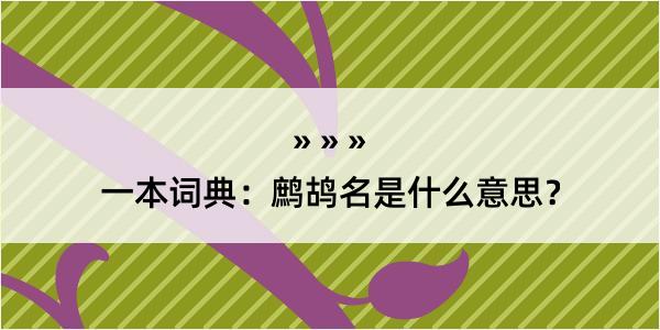 一本词典：鹧鸪名是什么意思？