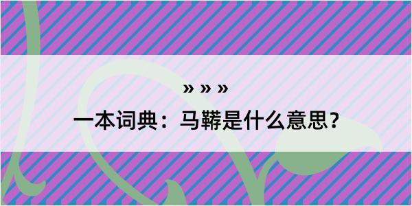 一本词典：马鞯是什么意思？