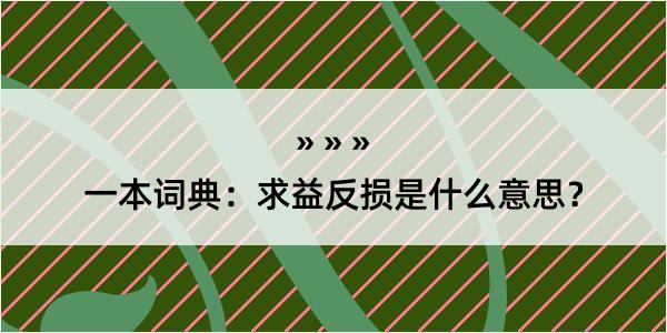 一本词典：求益反损是什么意思？