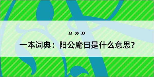 一本词典：阳公麾日是什么意思？