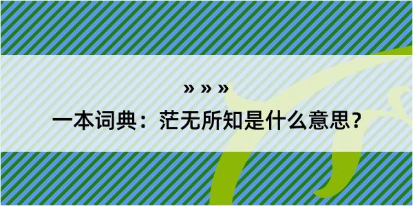 一本词典：茫无所知是什么意思？