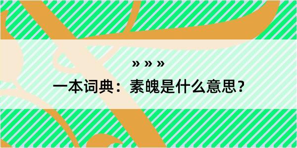 一本词典：素魄是什么意思？