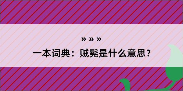 一本词典：贼髡是什么意思？