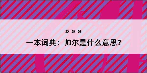 一本词典：帅尔是什么意思？