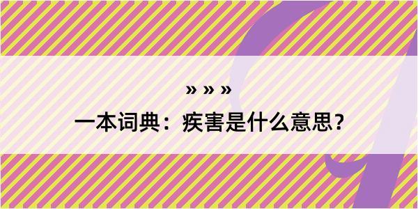 一本词典：疾害是什么意思？