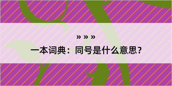 一本词典：同号是什么意思？