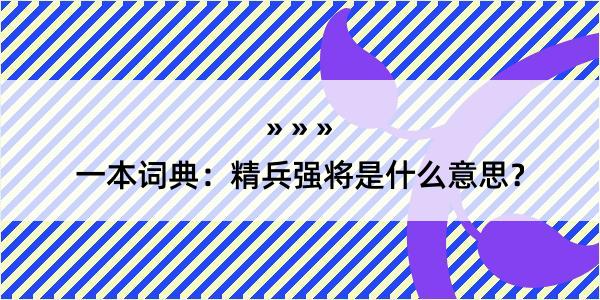 一本词典：精兵强将是什么意思？