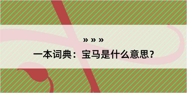 一本词典：宝马是什么意思？