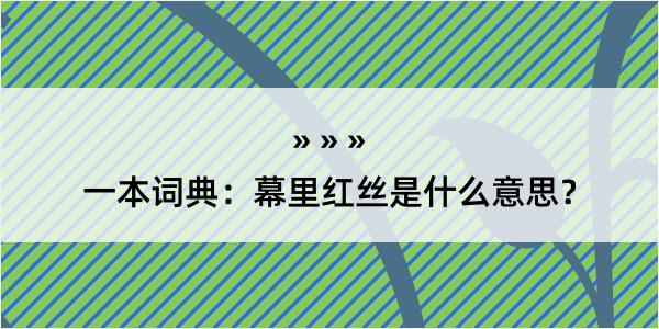 一本词典：幕里红丝是什么意思？