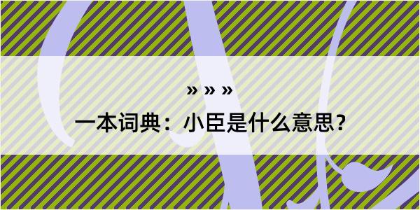 一本词典：小臣是什么意思？