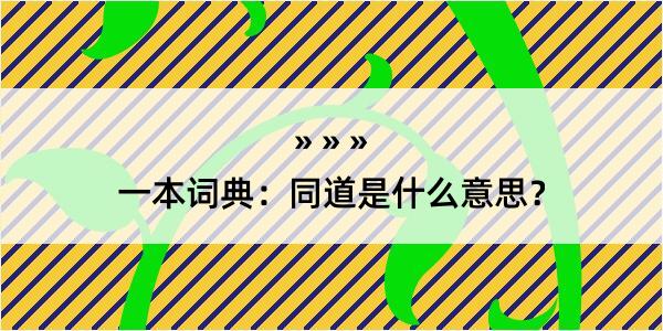 一本词典：同道是什么意思？