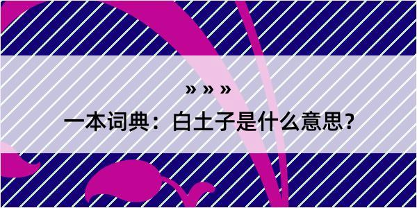 一本词典：白土子是什么意思？