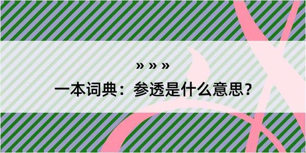 一本词典：参透是什么意思？