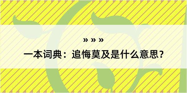 一本词典：追悔莫及是什么意思？