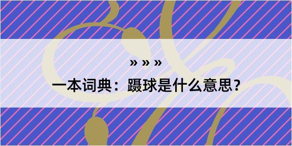 一本词典：蹑球是什么意思？