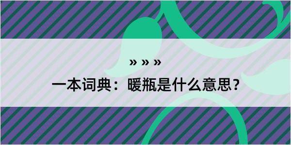 一本词典：暖瓶是什么意思？