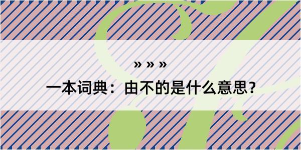 一本词典：由不的是什么意思？