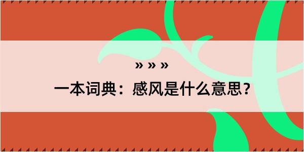 一本词典：感风是什么意思？