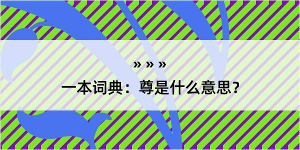 一本词典：尊是什么意思？