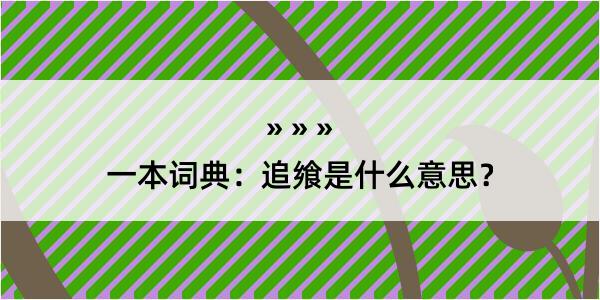 一本词典：追飨是什么意思？