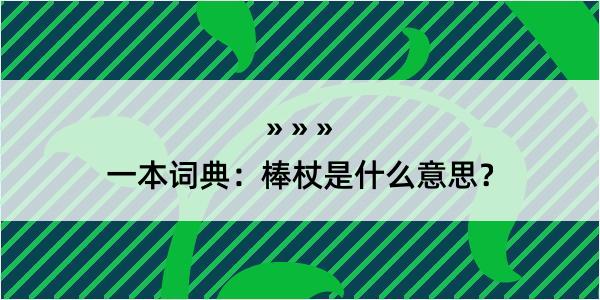 一本词典：棒杖是什么意思？