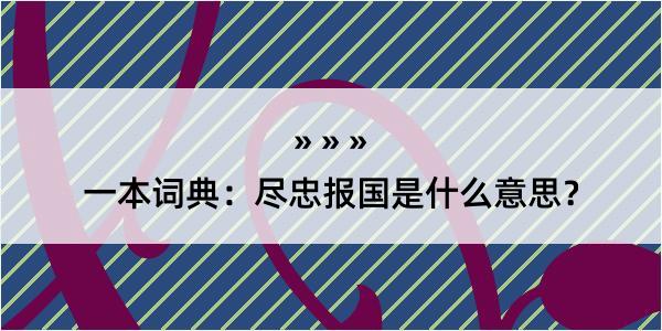 一本词典：尽忠报国是什么意思？