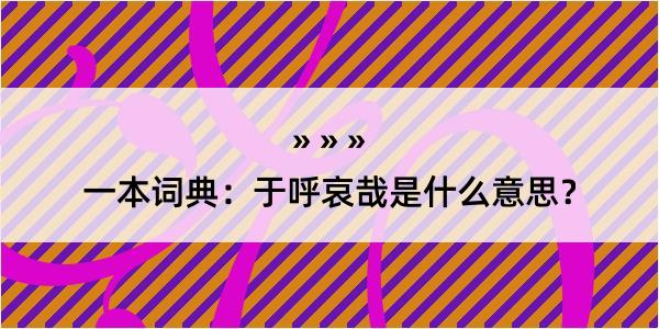 一本词典：于呼哀哉是什么意思？