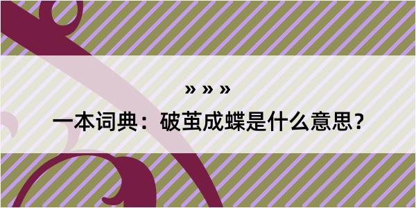 一本词典：破茧成蝶是什么意思？