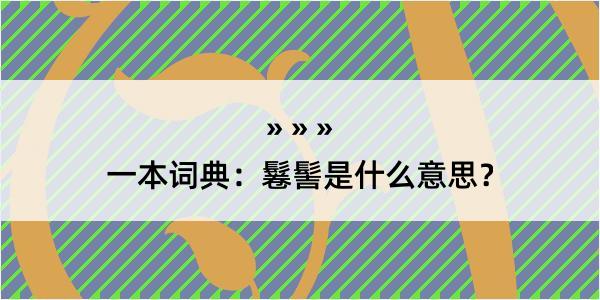 一本词典：鬈髻是什么意思？