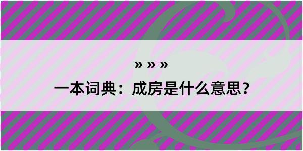 一本词典：成房是什么意思？