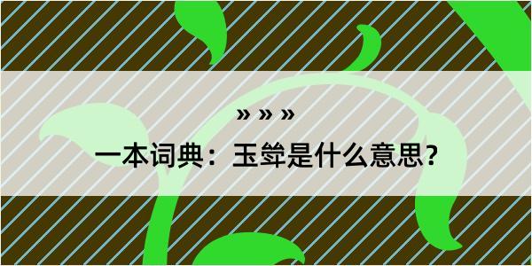 一本词典：玉斚是什么意思？