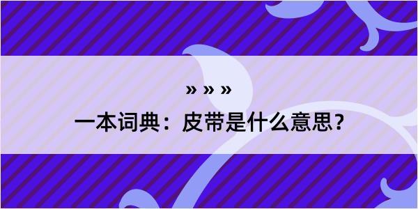 一本词典：皮带是什么意思？