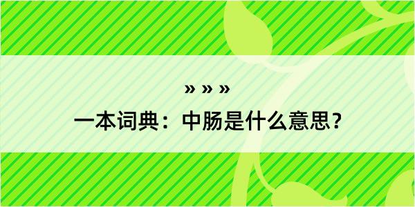 一本词典：中肠是什么意思？