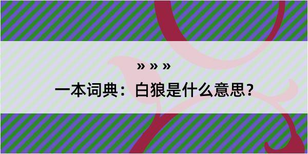 一本词典：白狼是什么意思？